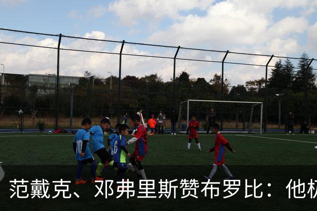 范戴克、邓弗里斯赞布罗比：他极难对付 和卢卡库有相似之处